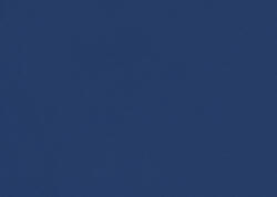 Pixie's Bizzare World as Bliss the cat