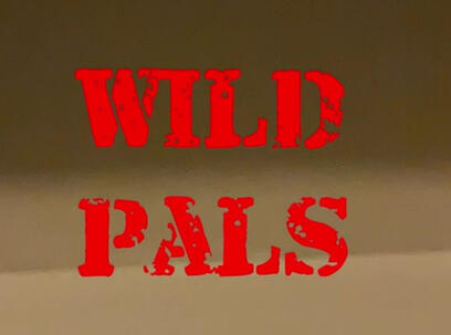 Wild Pals 2 as Miss Penny