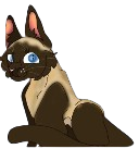 Dragon's Spell as Ra the Siamese Cat